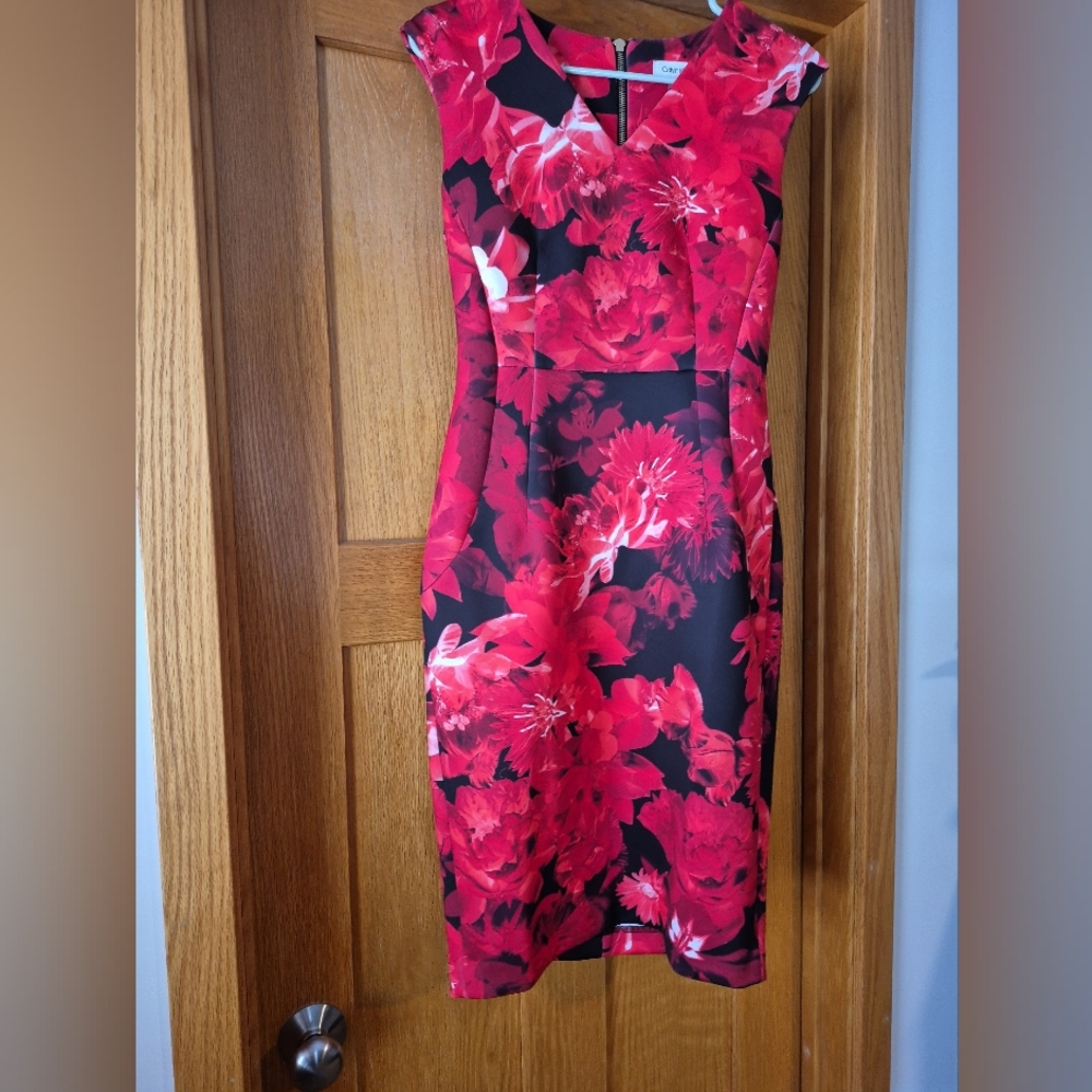 Calvin Klein Floral Red and Black Dress